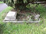 image number 3